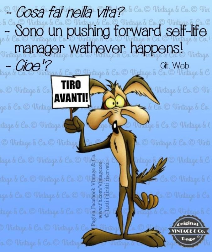 fe1862d6d8ee0b1b73e2030e211ac259