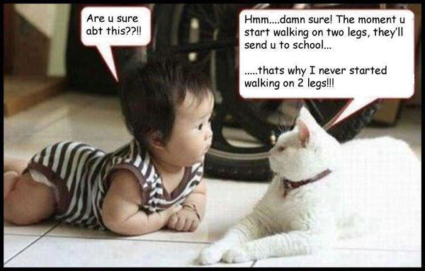 funny-jokes-with-images