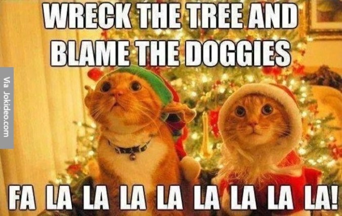 christmas-cat-meme