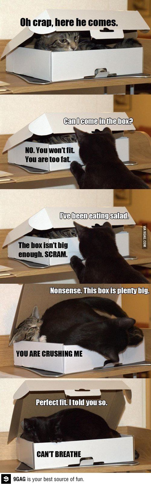 88e1ab23b6d9dfdd59d7e110d4d9ec6c